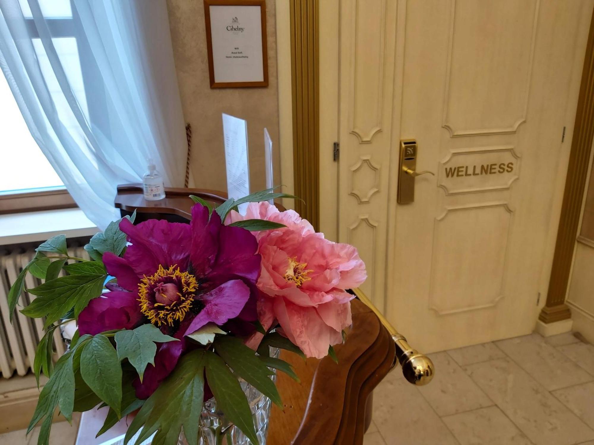 Pension U Golfu Cihelny Karlovy Vary Eksteriør bilde
